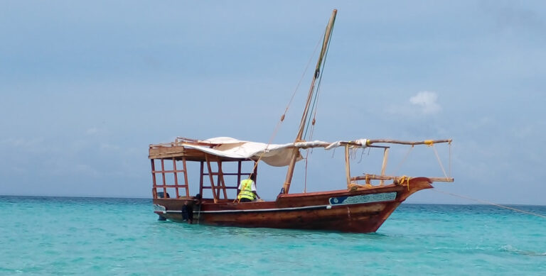 1-Day Wasini Island Dhow Safari